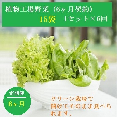 植物工場産野菜・お徳用6セット(6ヶ月契約)1セット×6回 | ふるさと納税のお礼品