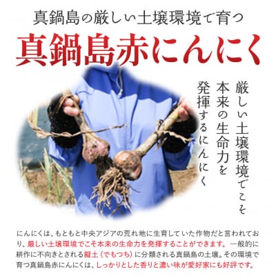 真鍋島赤にんにくの伝統食品詰め合わせAセット　B-142