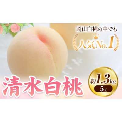 【2027年発送先行予約】清水白桃 約1.3kg(5玉)《2027年7月下旬-8月上旬頃出荷》