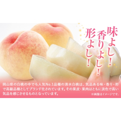 【2027年発送先行予約】清水白桃 約1.3kg(5玉)《2027年7月下旬-8月上旬頃出荷》