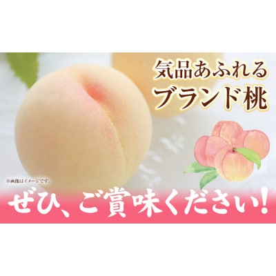 【2027年発送先行予約】清水白桃 約1.3kg(5玉)《2027年7月下旬-8月上旬頃出荷》