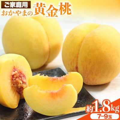 ご家庭用 おかやまの黄金桃約1.8kg(令和6年産先行受付:8月下旬から順次発送予定)