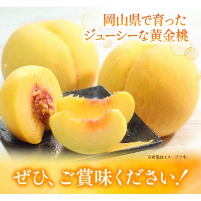 ご家庭用 おかやまの黄金桃約1.8kg(令和8年産先行受付:8月下旬から順次発送予定)