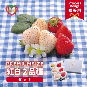 岡山県 いちごのお礼品 返礼品一覧 ふるさと納税サイト さとふる