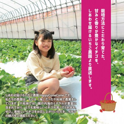 【先行予約】しあわせ届けるいちご農園HappyComeComeの紅白いちご2品種食べ比べセット