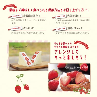 しあわせ届けるいちご農園HappyComeComeの晴苺450g B-90a