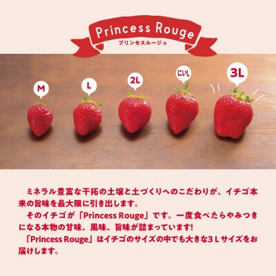 幸せ届けるいちご農園HappyComeCome　いちご4品種スペシャルセット 