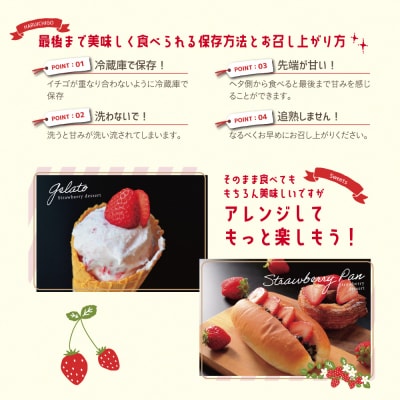 幸せ届けるいちご農園HappyComeCome　いちご4品種スペシャルセット 