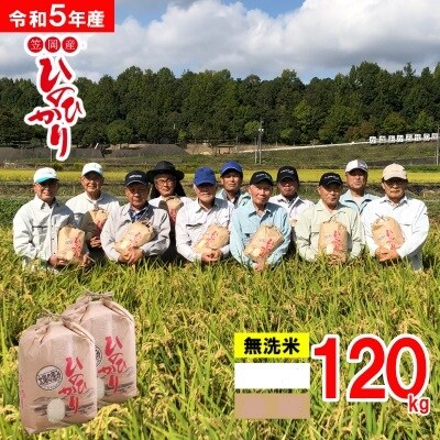 【令和5年産 新米先行受付】無洗米 岡山県産ひのひかり笠岡産 120kg太陽の恵み O-2_120k