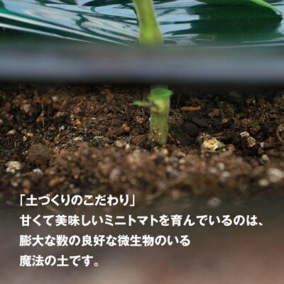 ZEPPIN EX(エクセレント)1kg C-39a