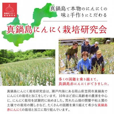  真鍋島赤にんにくしょうゆ漬とにんにく卵黄のセット　A-192