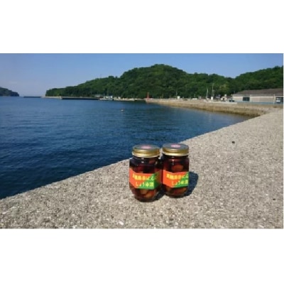 真鍋島赤にんにくしょうゆ漬け2個セット　A-193