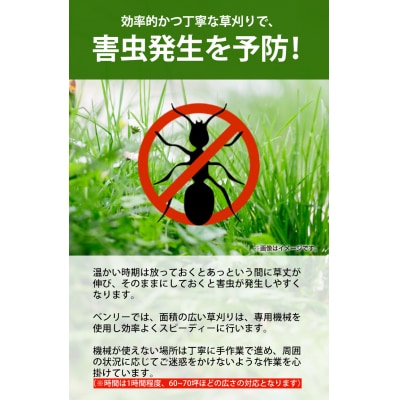 草刈り《土日祝除く》　B-175