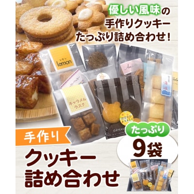クッキー詰め合わせ   S-02b