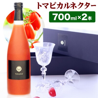 トマピカル・ネクター 700CC×2本　J-04