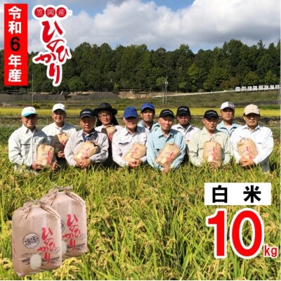 【令和6年産 先行受付】白米  ひのひかり 笠岡産 10kg 太陽の恵み O-6_10k_白米