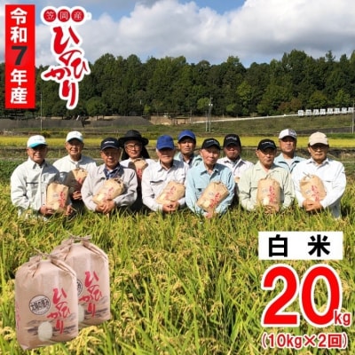 【令和7年産 先行受付】白米  ひのひかり 笠岡産 20kg 太陽の恵み O-07_20k_白米