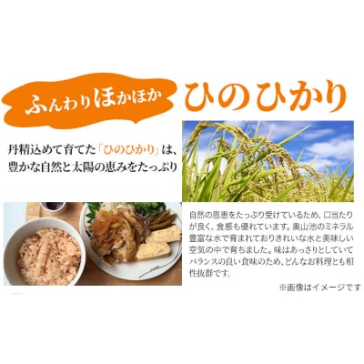 【令和8年産 先行受付】玄米  ひのひかり 笠岡産 20kg太陽の恵み O-16a_20kg_玄米