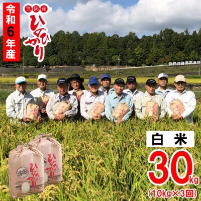 【令和6年産 先行受付】白米  ひのひかり 笠岡産 30kg 太陽の恵み O-6_30k_白米