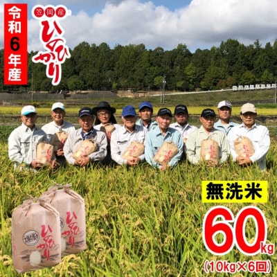 【令和6年産 先行受付】無洗米  ひのひかり 笠岡産 60kg 太陽の恵み O-6_60k_無洗米