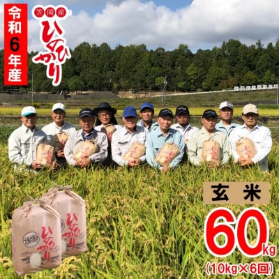 【令和6年産 先行受付】玄米  ひのひかり 笠岡産 60kg 太陽の恵み O-6_60k_玄米