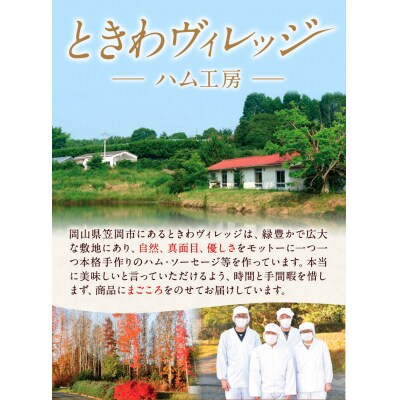 しっとりチャーシュー　K-33