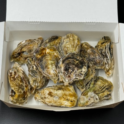 Emperor oyster 生食用 冷凍殻付き牡蠣 　12粒 Mサイズ 袋入り Y-11