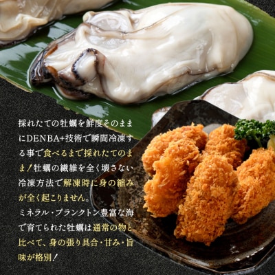 Emperor oyster 生食用 冷凍殻付き牡蠣 　12粒 Mサイズ 袋入り Y-11