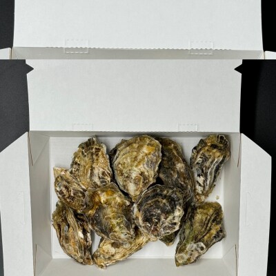 Emperor oyster 生食用 冷凍殻付き牡蠣　 12粒 Sサイズ 木箱入り Y-12