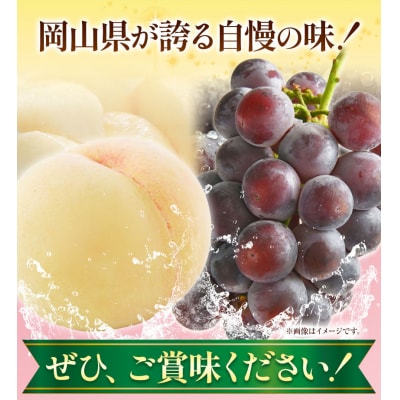 岡山産白桃とピオーネの詰合せ【令和8年産先行受付】　A-109c