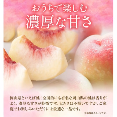 ご家庭用　おかやまの桃約1.8kg(7~-9玉)令和8年産先行受付　A-181d