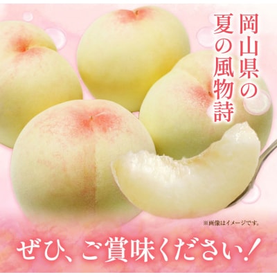 ご家庭用　おかやまの桃約1.8kg(7~-9玉)令和8年産先行受付　A-181d