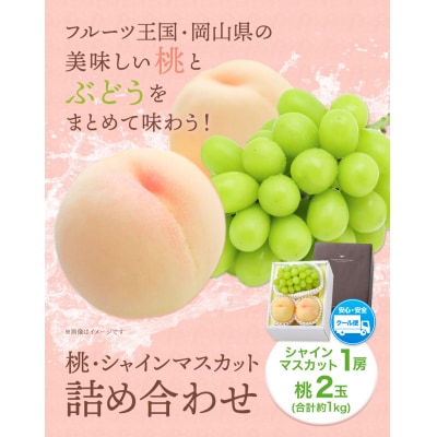 桃・シャインマスカット詰め合わせ　令和8年産先行受付　H-23