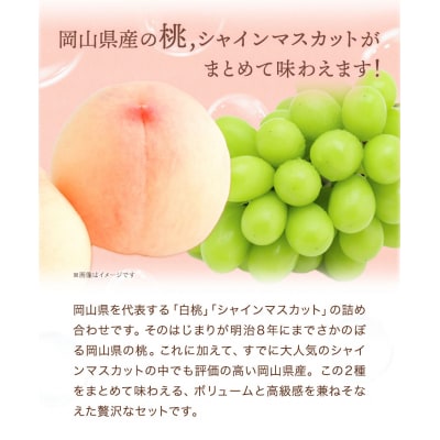 桃・シャインマスカット詰め合わせ　令和8年産先行受付　H-23