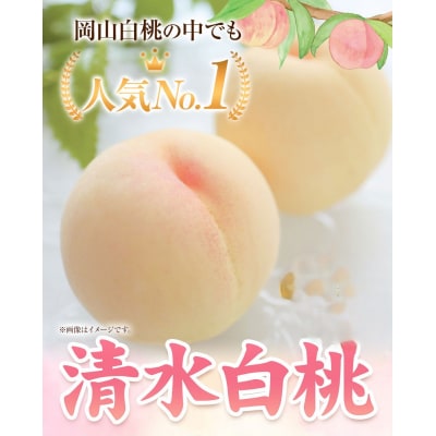 清水白桃 5玉約1.3kg 　令和8年産先行受付　B-56e
