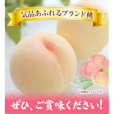 清水白桃 5玉約1.3kg 　令和8年産先行受付　B-56e