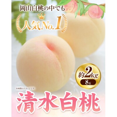 清水白桃　8玉 約2kg　令和8年産先行受付　B-80d