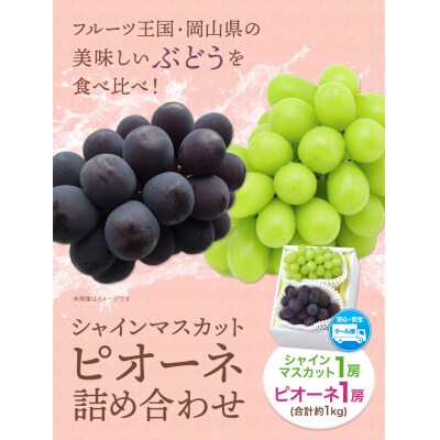 シャインマスカット・ピオーネ詰合せ約1kg　令和8年産先行受付　H-21a