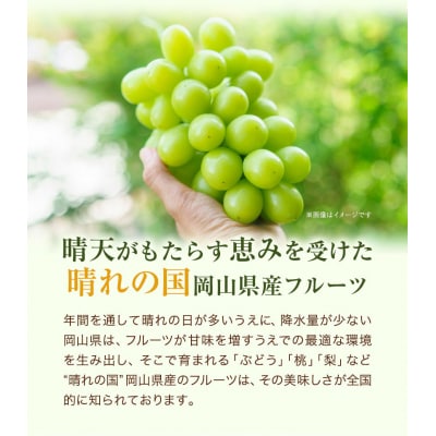 岡山県産 桃とぶどうの詰め合わせ≪桃・ピオーネ・シャインマスカット≫　令和8年産先行受付　H-24a