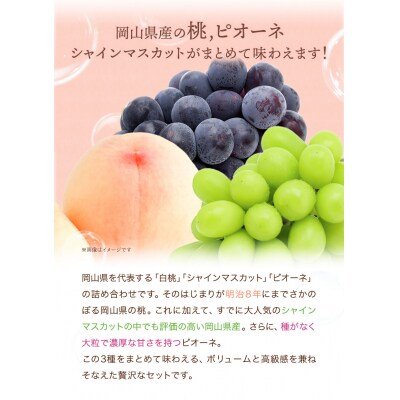 岡山県産 桃とぶどうの詰め合わせ≪桃・ピオーネ・シャインマスカット≫　令和8年産先行受付　H-24a
