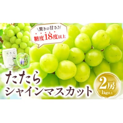 ������݂˂��V���C���}�X�J�b�g2�[1kg�ȏ� ���ʌ���(2026�N�Y��s��t)A-209