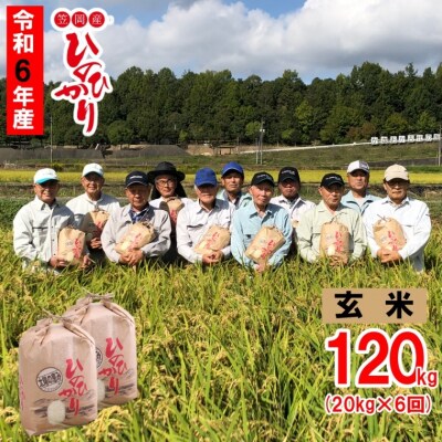 【令和6年産】玄米 ひのひかり 笠岡産 120kg 太陽の恵み O-6_120k_玄米