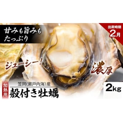笠岡産殻付き牡蠣2kg(2月発送分)　K-45a-2j