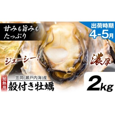 笠岡産殻付き牡蠣2kg(4月上旬-5月上旬頃出荷)　K-45a-4j