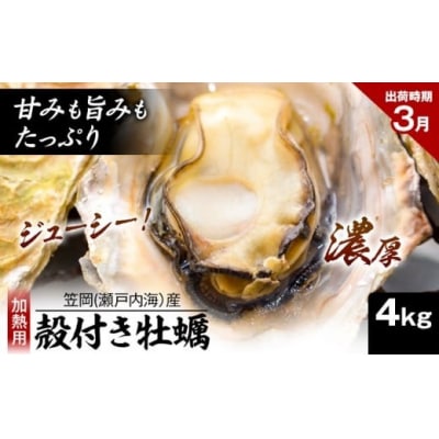 笠岡産殻付き牡蠣4kg(3月発送分)　K-46a-3j