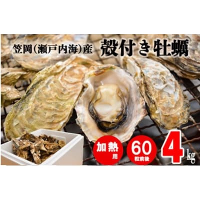笠岡産殻付き牡蠣4kg(3月発送分)　K-46-4j