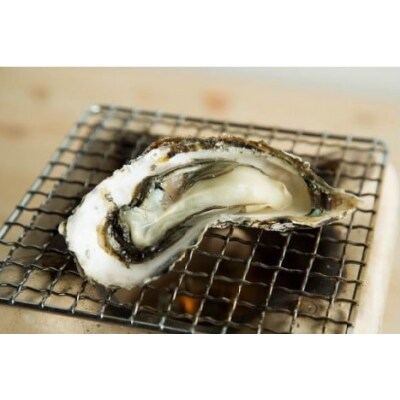 笠岡産殻付き牡蠣4kg(3月発送分)　K-46-4j