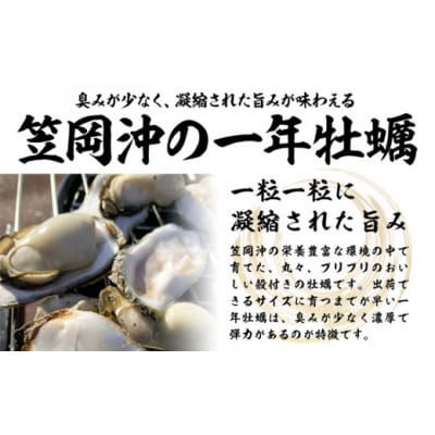 笠岡産殻付き牡蠣4kg(4月上旬-5月上旬頃出荷)　K-46a-4j