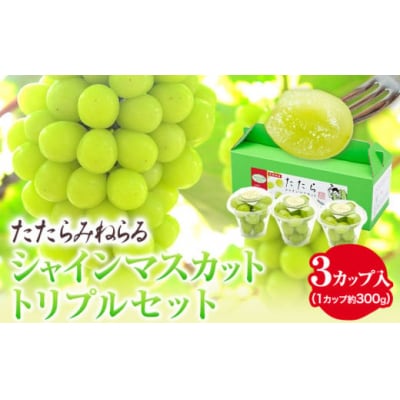 たたらみねらるシャインマスカットトリプルセット(2026年産先行受付)1-36a