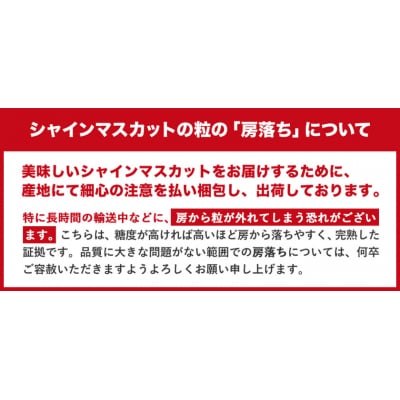 たたらみねらるシャインマスカットトリプルセット(2026年産先行受付)1-36a